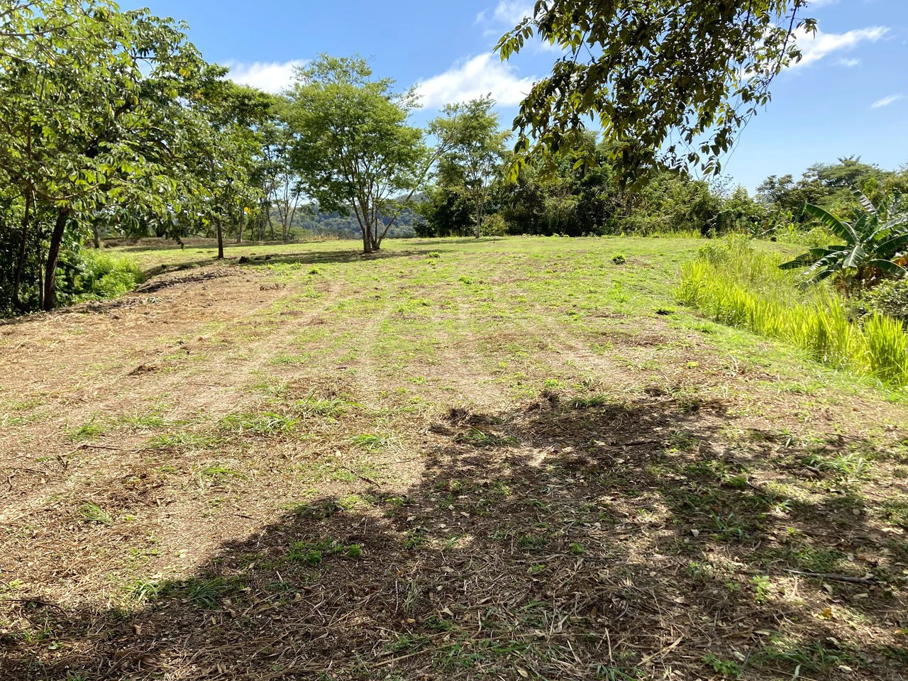 Large Oceanview Lot With Platform Close to Samara - Gallery image 5