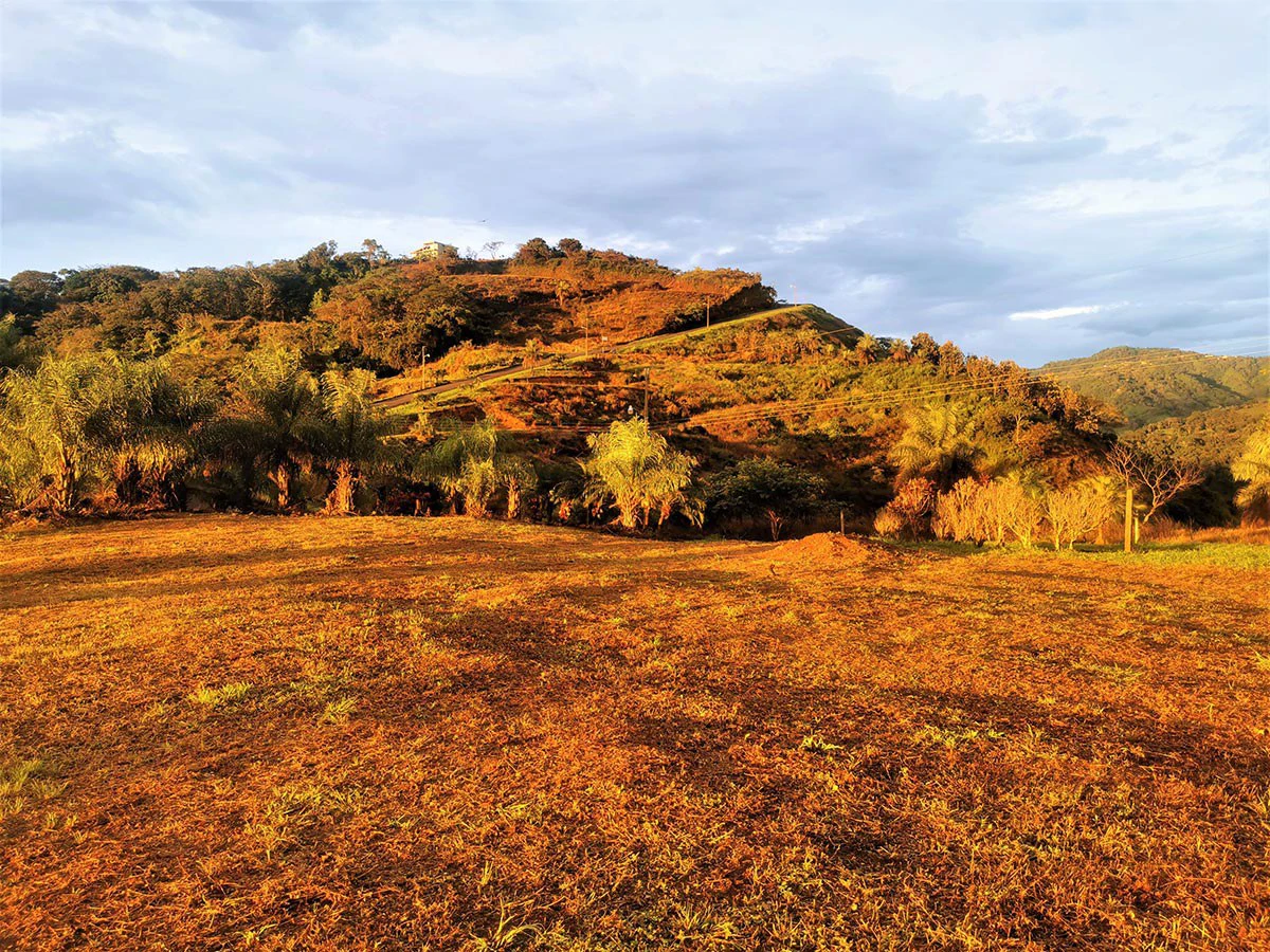 ID 3700: Price Slash! Ocean and Mountain View Lot close to Atenas and the beach - Gallery image 11