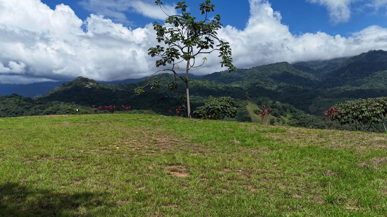 Stunning Ocean, Mountain, and Valley View Property in Tres Rios - Gallery image 2