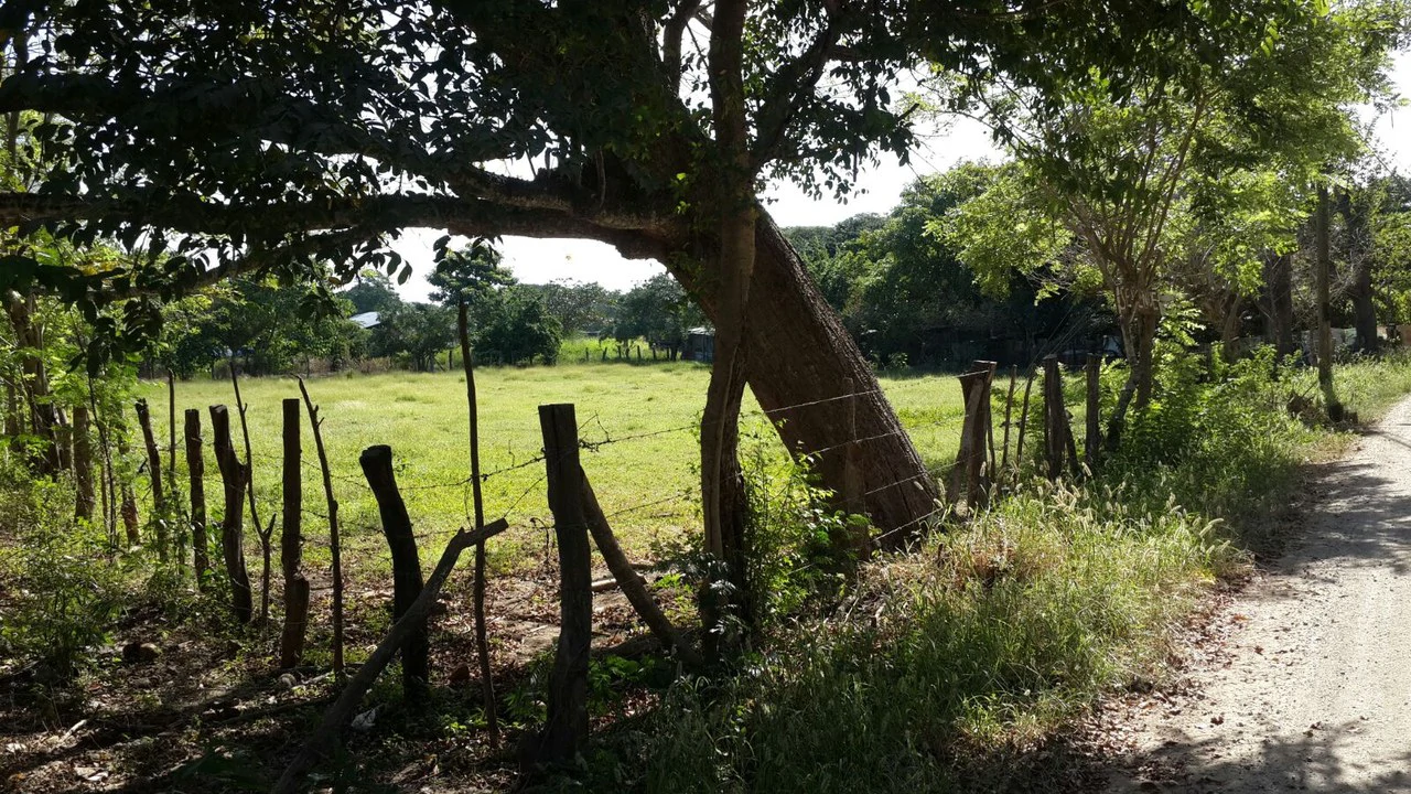 Ganga Lote grande: Building Lot for Sale Near Guanacaste’s Gold Coast - Gallery image 3