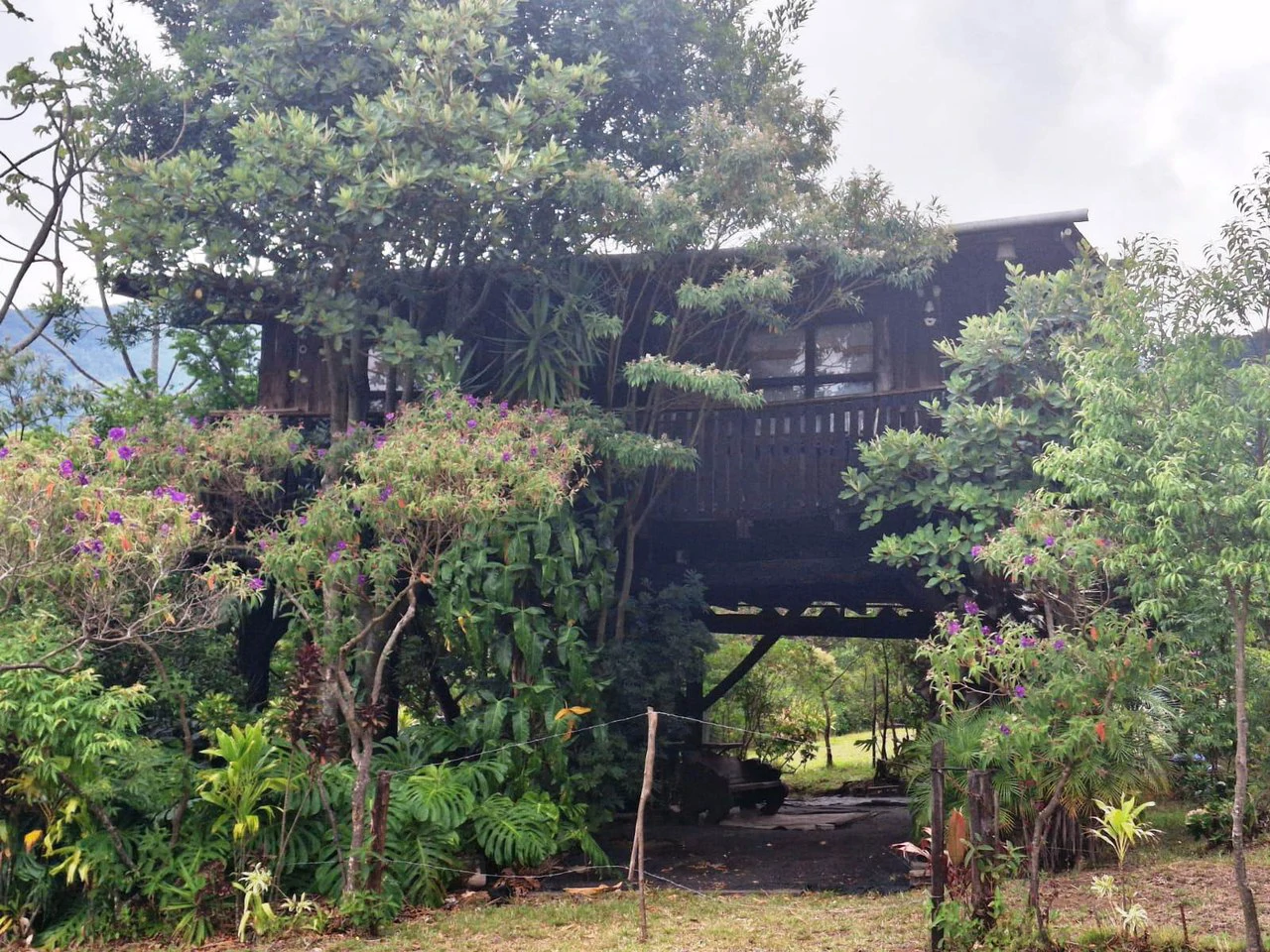 Mountaintop Canvas!: 31,000m2 - Entrepreneur's Dream Property! - Gallery image 5