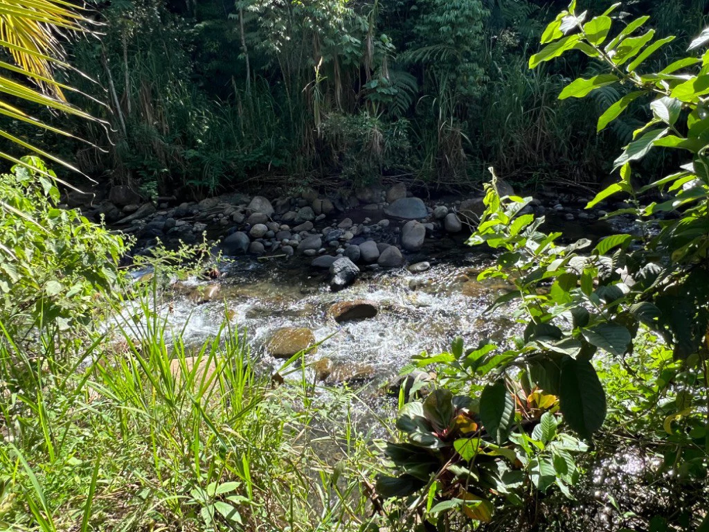 Mountain Home Construction Site For Sale in Convento - photo 16