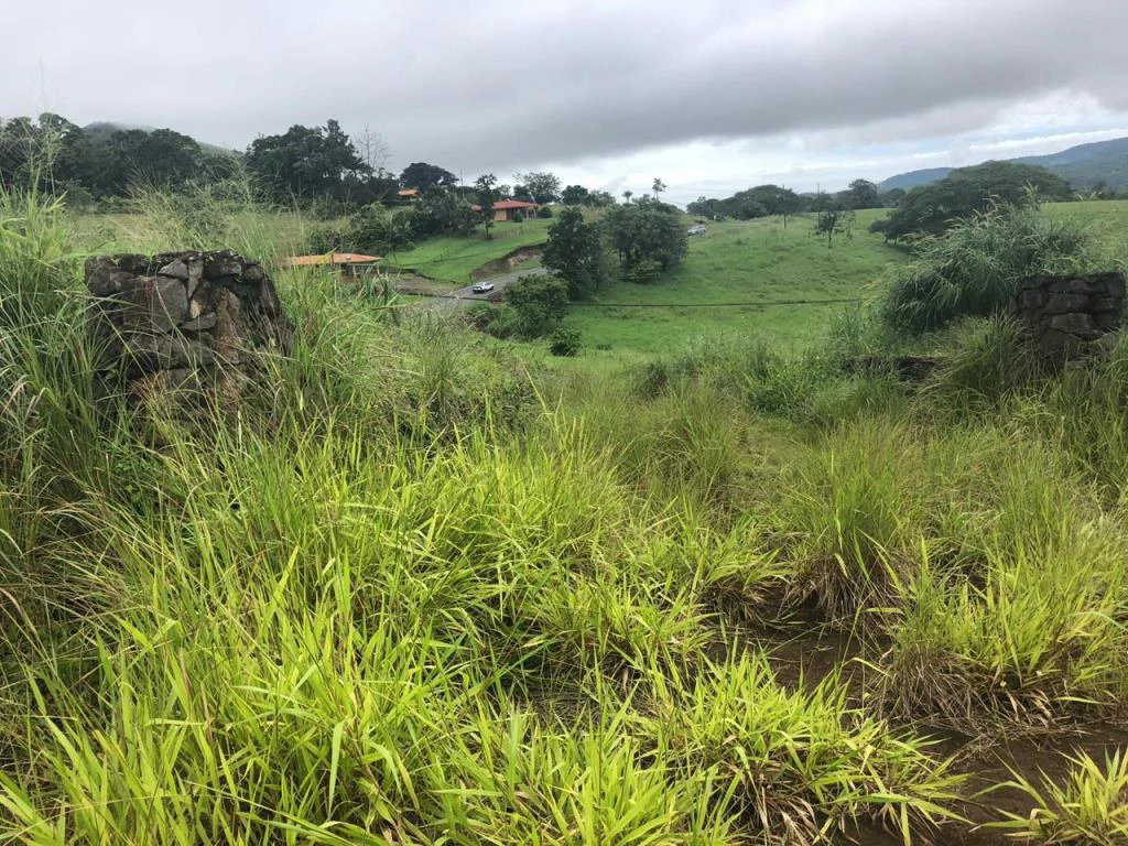 Lot with High Development Potential in Bijagua, Valle de Miravalles, Costa Rica - Gallery image 10