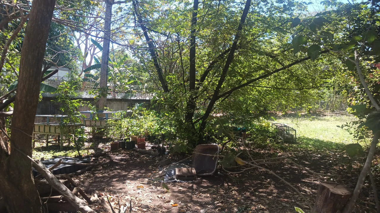 Prime Lot, very close to the beach for sale in the center of Playas del Coco - Gallery image 10