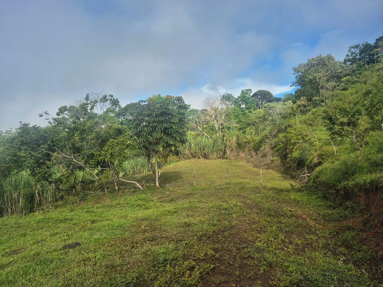 Propiedad en San Blas: Mountain Agricultural Land For Sale in La Linda General Viejo - Gallery image 4