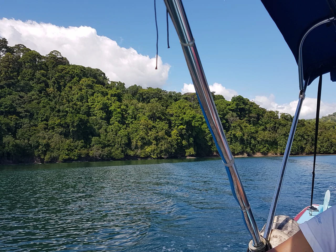 Nature Lover's Marina Resort Investment: Costa Rica South-Pacific Gulf Coast Marina, Rainforest Resort - Gallery image 4