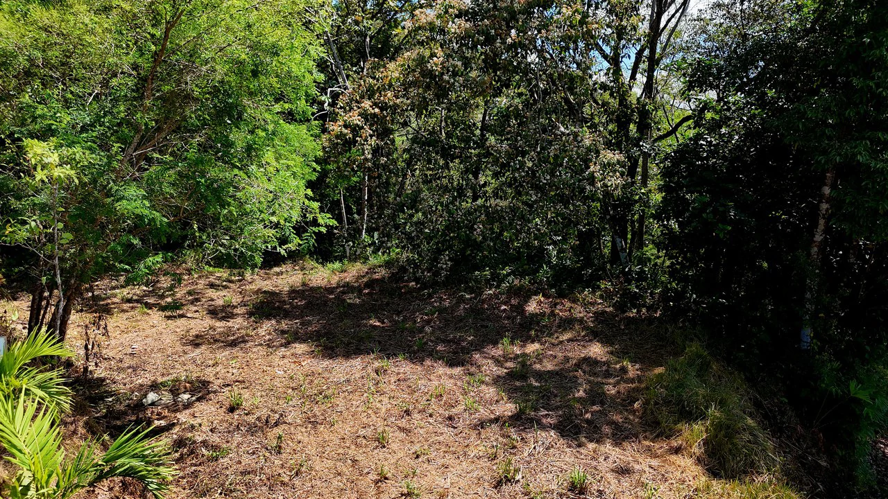 Ocean View Property with Plantel and Trails in Hatillo – Ready to Build: Mountain Home Construction Site For Sale in Hatillo - Gallery image 10