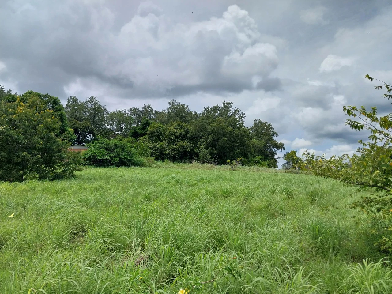 T-182: Volcano view and lot for Sale in Liberia - Gallery image 7