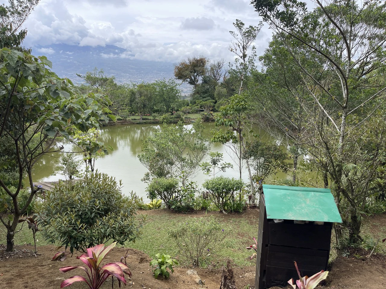 Cartago, gourmet coffee plantation: Charming Coffee Retreat Home with Stunning Views and Gourmet Coffee Plantations - Gallery image 31