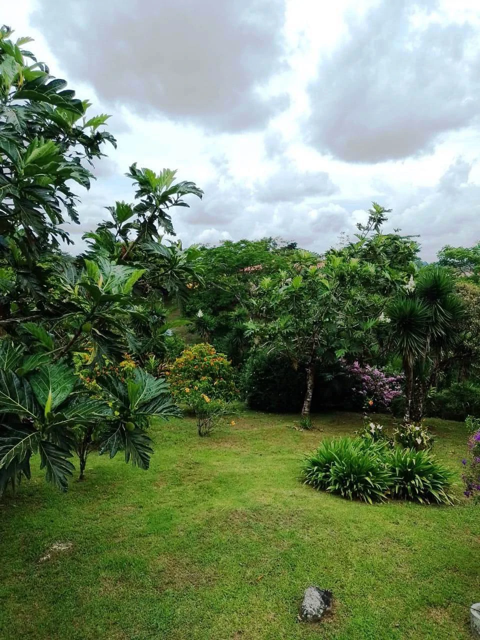 CHALET DEL LAGO - Beautiful A-Frame home in tropical garden - Gallery image 29