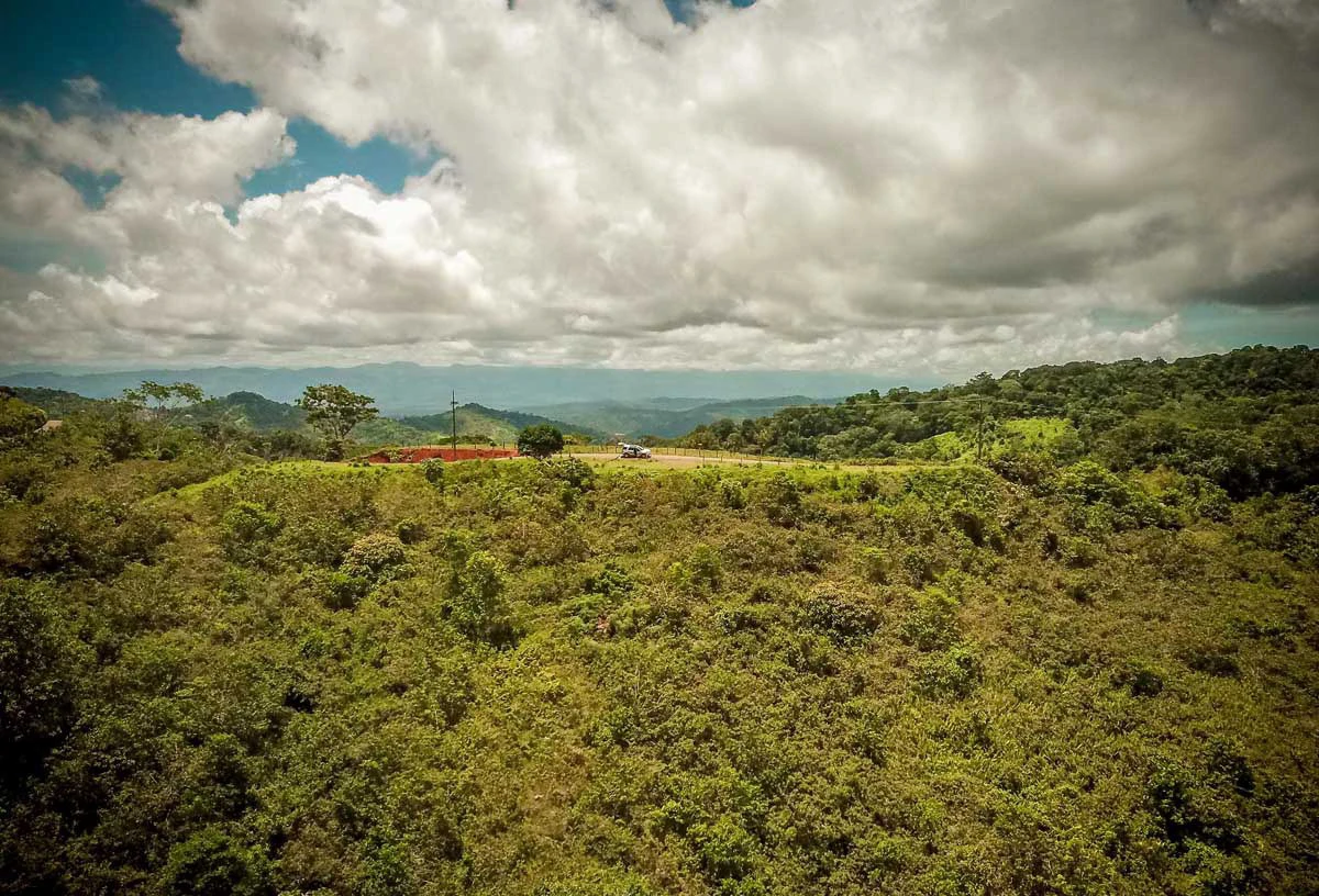 Sierpe Viewpoint on Main Route | San Juan de Sierpe, Puerto Jimenez - Gallery image 7