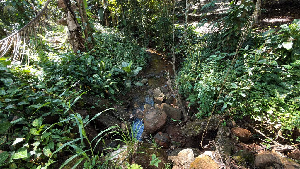 Countryside Agricultural Land For Sale in Pueblo Nuevo - Gallery image 10
