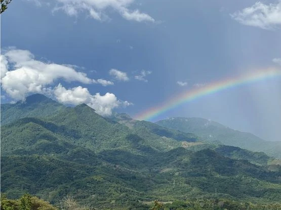 SPECTACULAR ECOLOGICAL MOUNTAIN FARM IN BIJAGUAL DE TURRUBARES