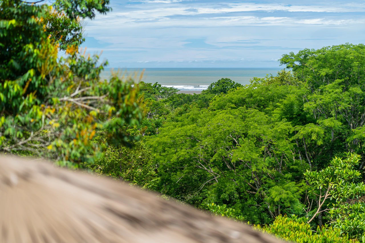 Casa Chiquita: Ocean View Retreat in the Heart of Ojochal – 3 Bed, 3 Bath with Pool, Fruit Trees & Prime Location - Gallery image 48