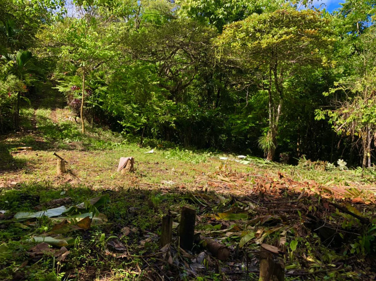 Mountain Home Construction Site For Sale in Tres Rios - Gallery image 9