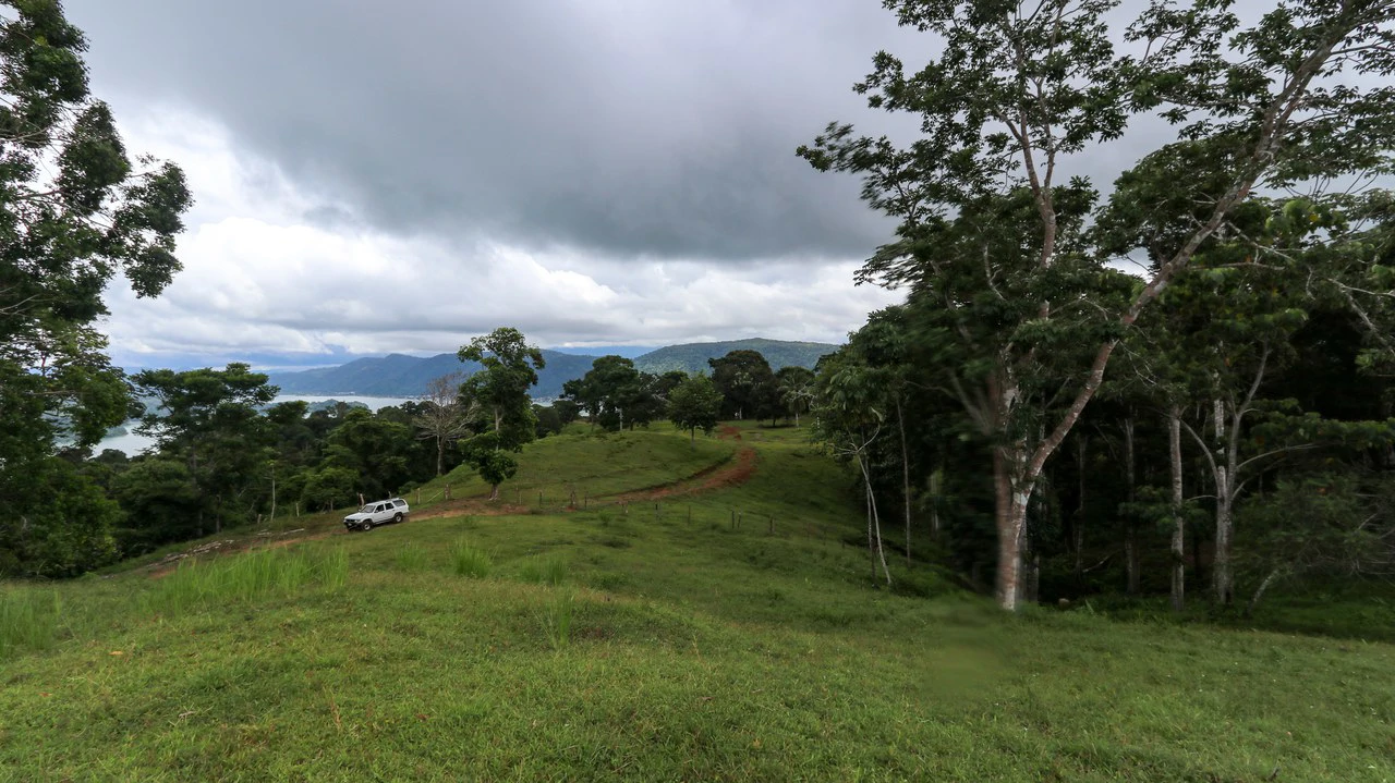 Unique Development Property Overlooking the Pristine Golfito Bay and Golfo Dulce - Gallery image 35
