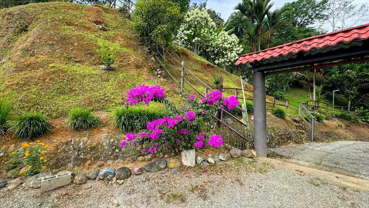 Charming Hardwood Cabin with Fruit Garden Near San Isidro - Gallery image 7