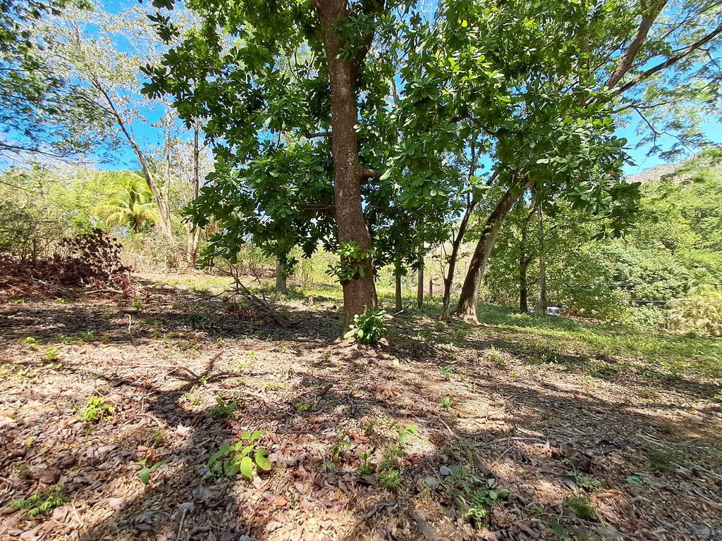 Lote Del Bosque: Buildable Lot with Mountain Views – Prime Location in Playa Carrillo - Gallery image 6