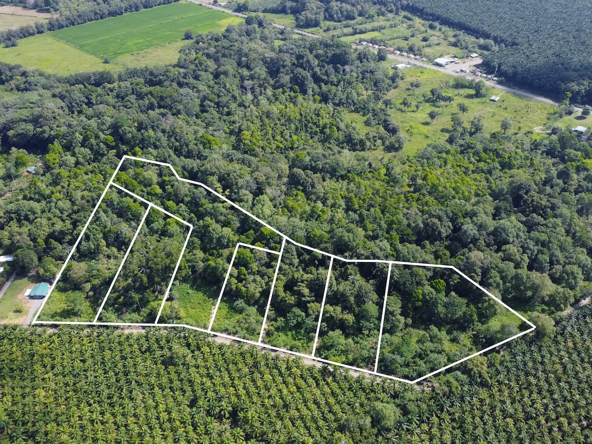 Large Building Lots in Osa Peninsula - Gallery image 2
