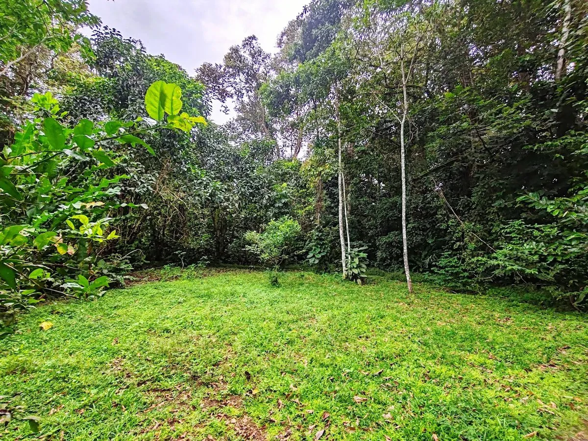 ID 651: Titled Building Lot near Punta Uva Beach: 5875 sqm with Creek - Gallery image 4