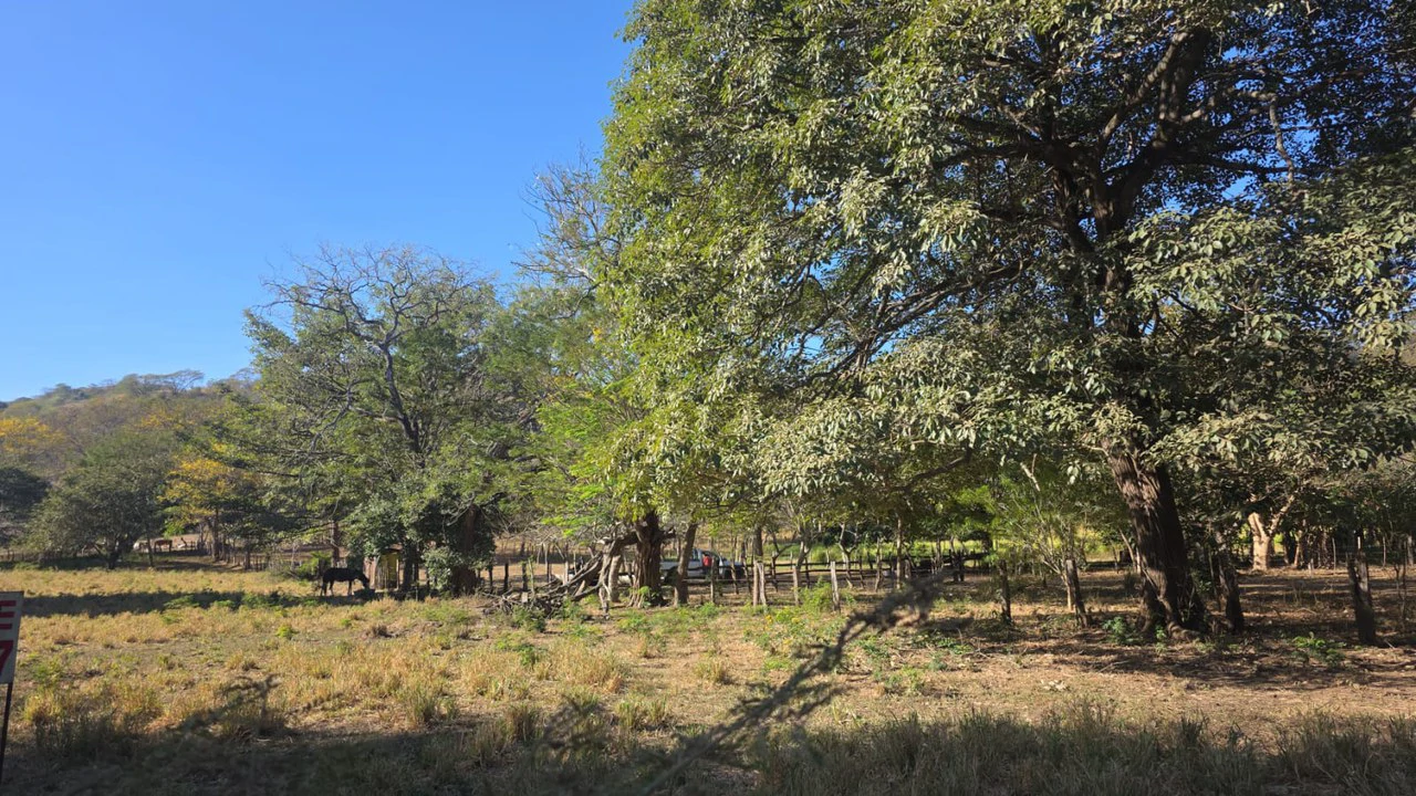 3 Commercial lots for sale in Artola with 70 m of public road frontage - Gallery image 10