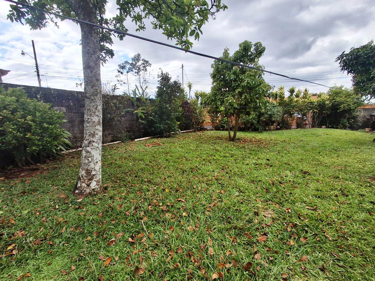 Casa Convenience: Grecia Garden Home on Large Lot + Rental Apartment! - Gallery image 20