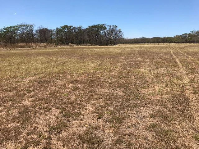 Huge terrain for sale in Guardia close to the International Airport of Liberia - Gallery image 31