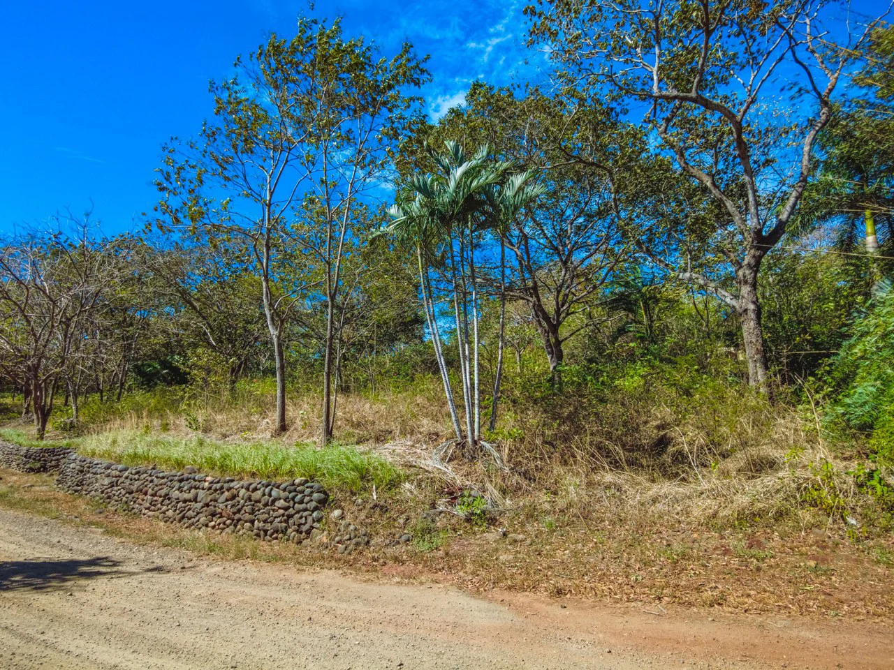 Tierra Pacifica #9: Secluded Lot in Gated Eco Community - Gallery image 5