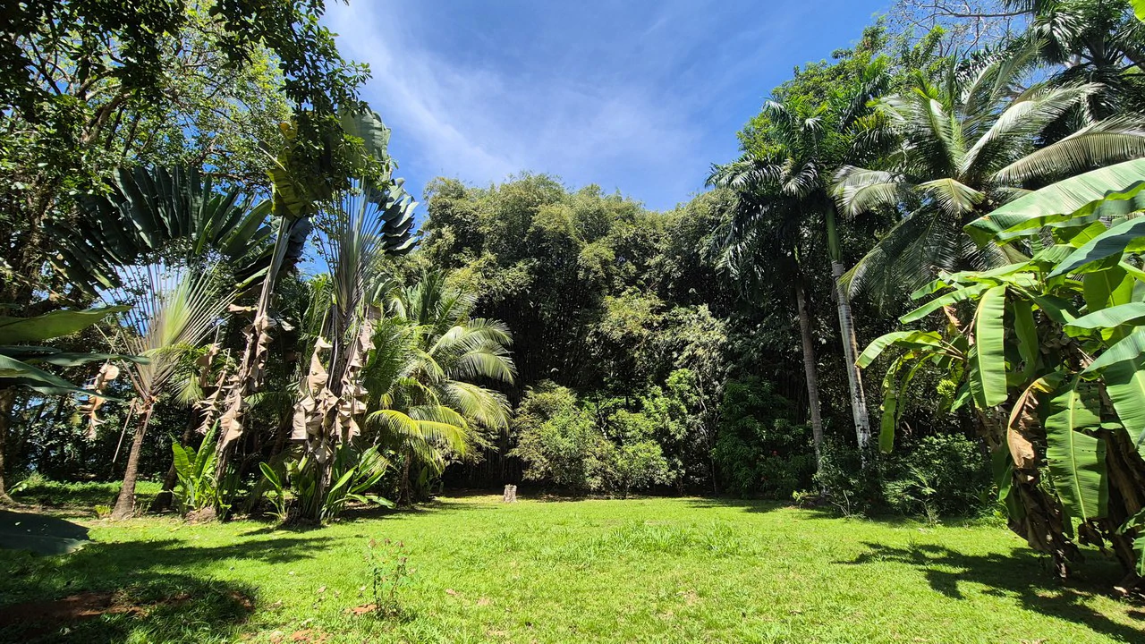 Dream Beachfront Property at Ballena Beach in Uvita, Costa Rica - Gallery image 12