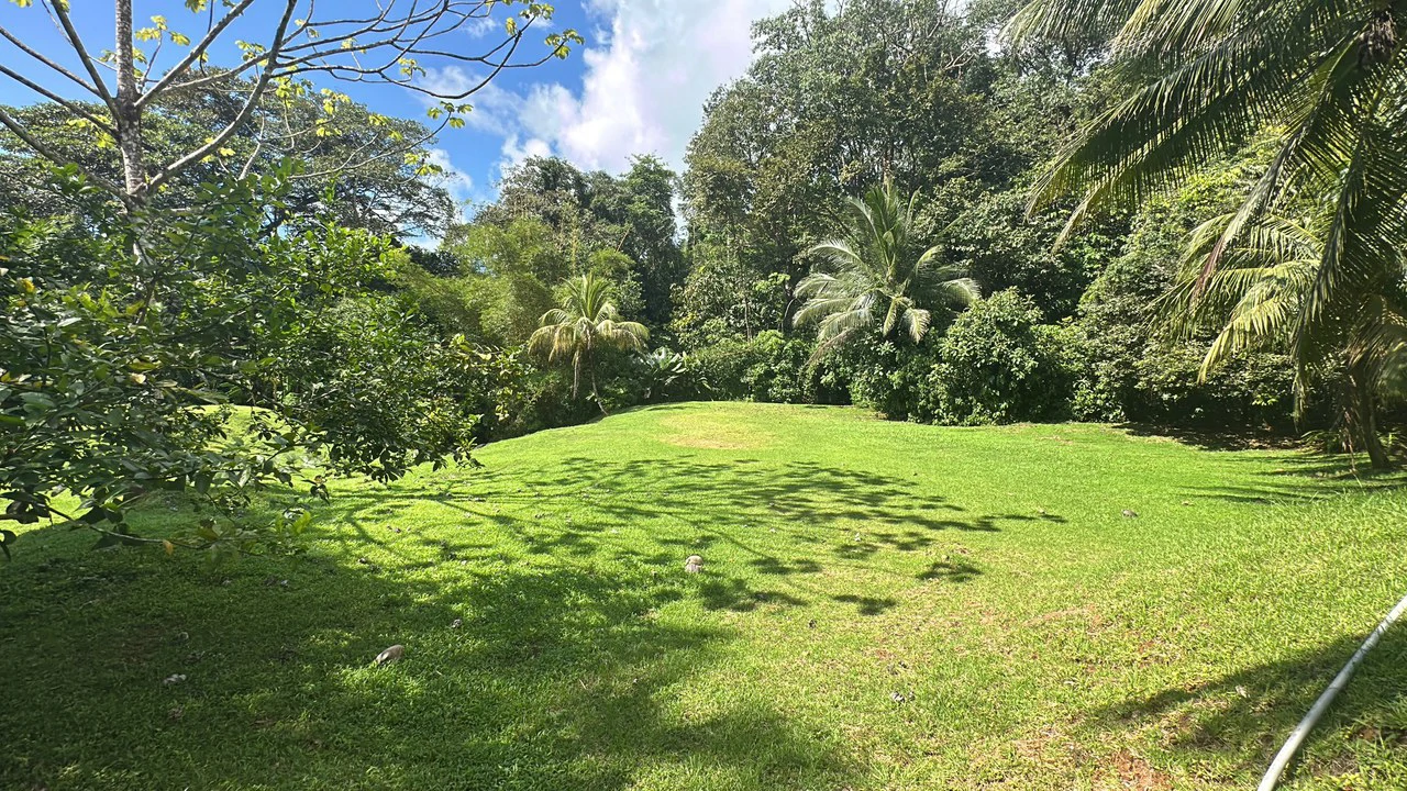 Development Parcel Central Uvita with River! - Gallery image 8