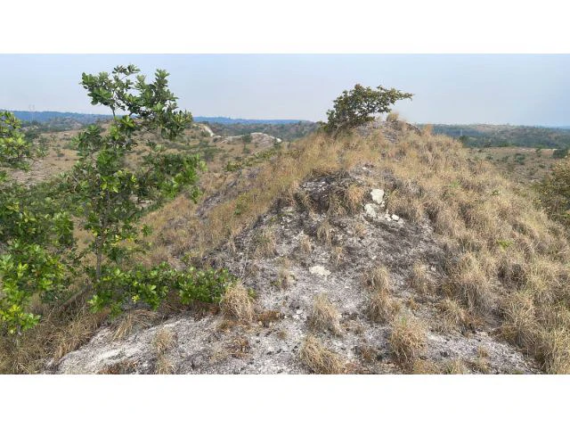 Zoning for homes, apartments, and warehouses in the mountains of Liberia, Beautiful 9.7 ha land with building permits - Gallery image 18