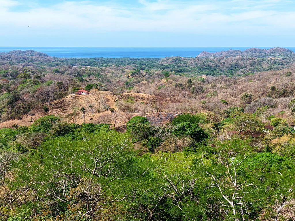 Lote 17 La Montaña: Stunning 1.86 Acres Ocean And Mountain View Land - Gallery image 2