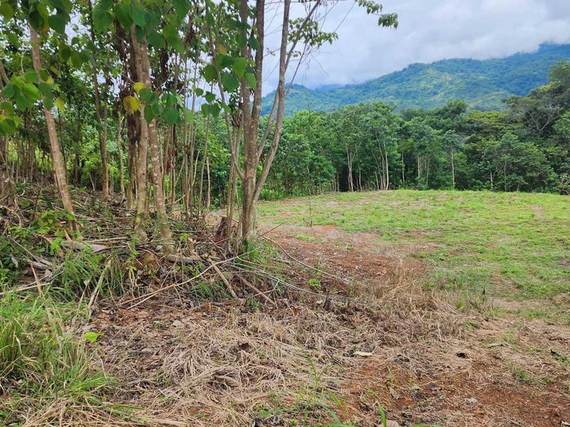 San Buenas: Mountain View Lot - Gallery image 4