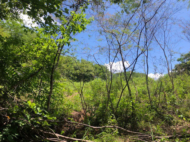 Amazing 50% discount for Huge ocean-view farm for sale surrounded by soft rolling hills and pristine nature - Gallery image 24