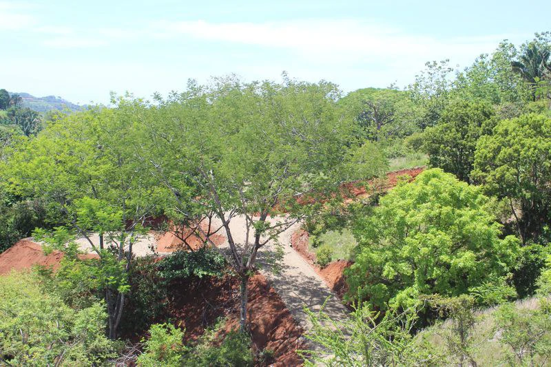 Lotes Alto Domingo - 5 Spacious Residential Lots with Forest and Mountain Vistas, Just 10 Minutes from the Beach: Mountain Home Construction Site For Sale in Sámara - Gallery image 3