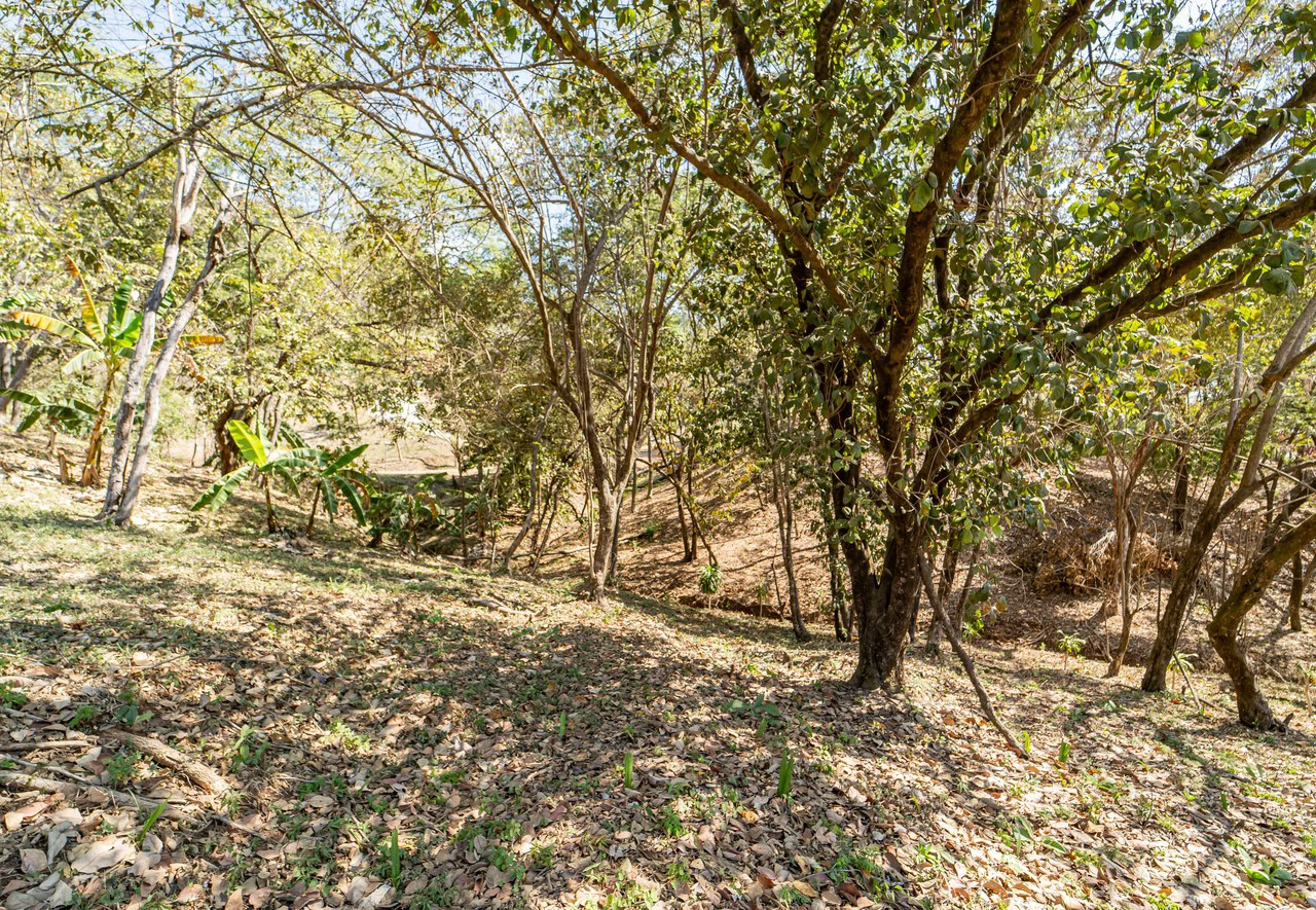 Lote Camaronal Natural: Half Acre Lot Just Mins to the Surf - Gallery image 10