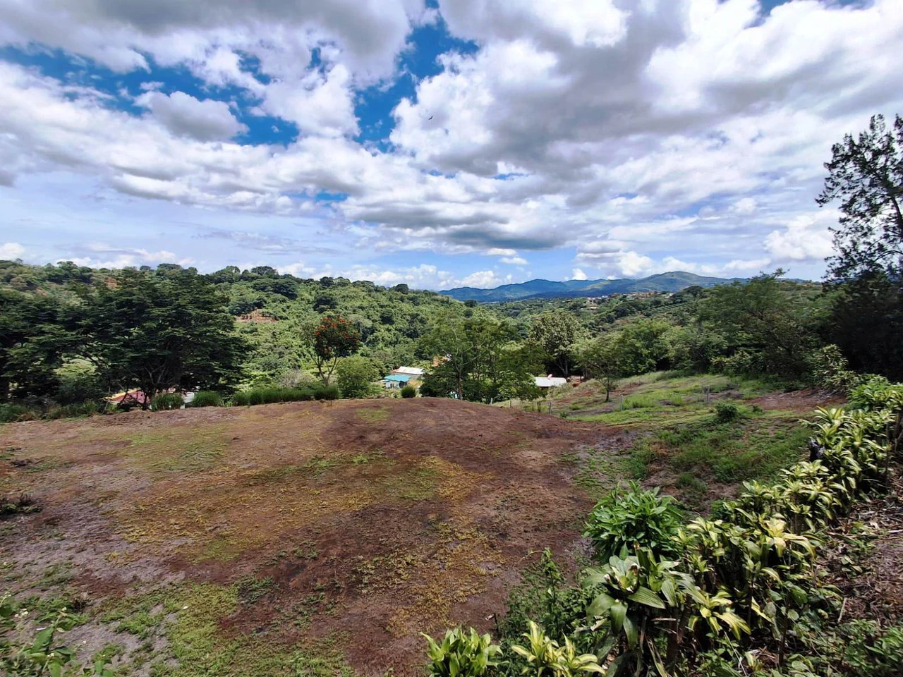 Flat and Private...Beautiful...Flat Lot close to town! - Gallery image 7