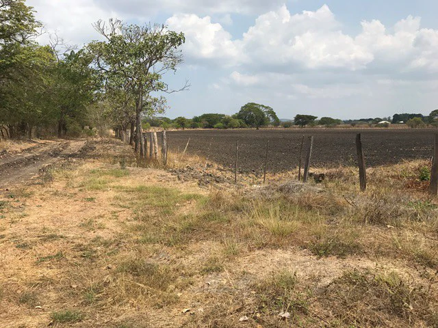 Great opportunity: Big property in Palmira de Carrillo - Gallery image 10