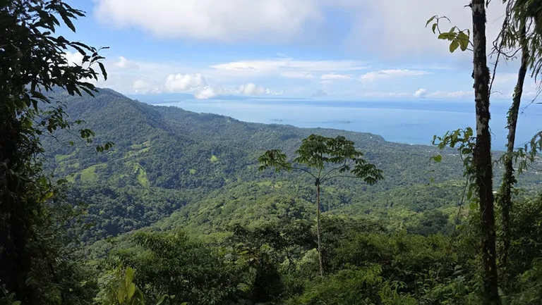116-Hectare Finca for Sale Near Uvita with Whales Tail Views and 10 Waterfalls | La Faralla, Bahia Ballena, Uvita, Puntarenas, Costa Rica