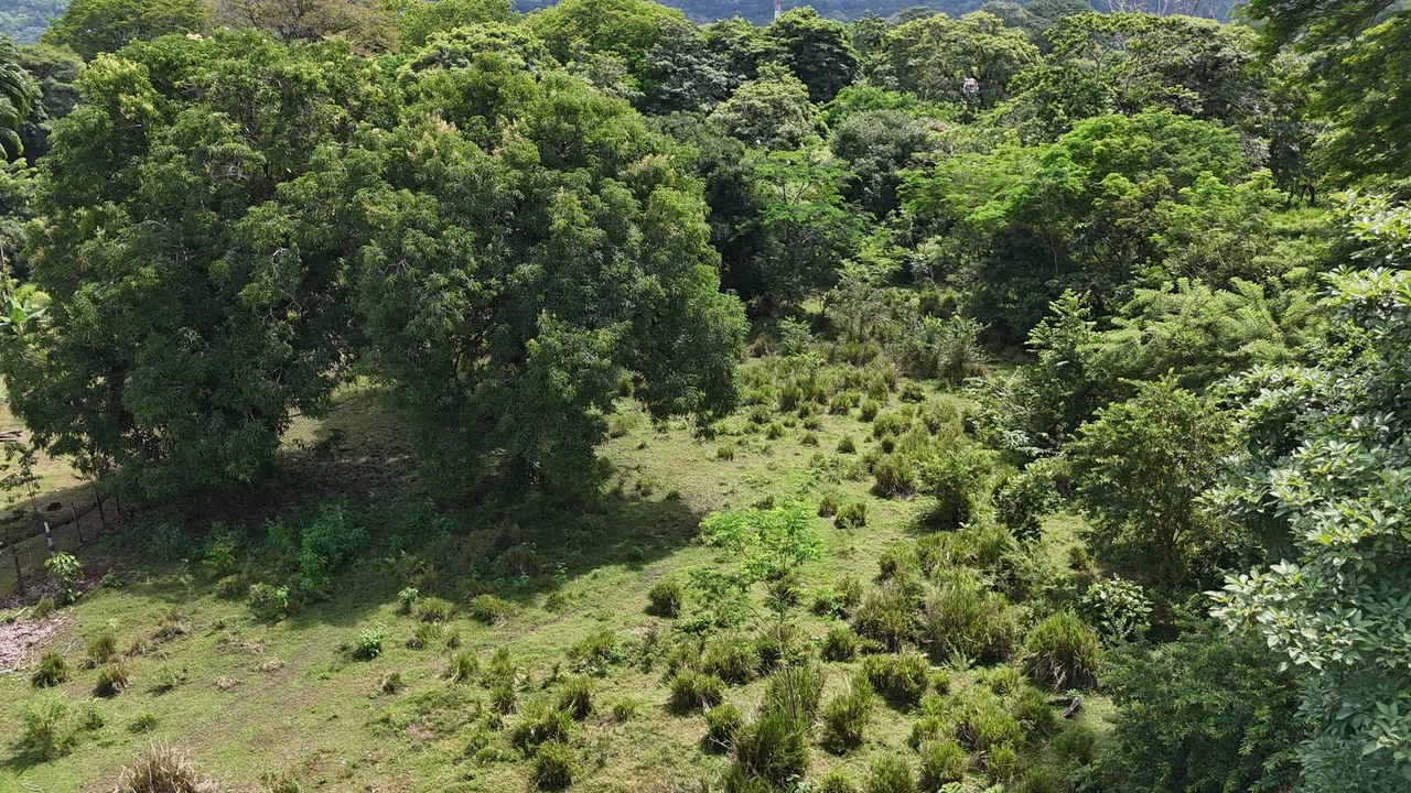 Walk to the beach, Developement Land, Mini Ranch, Central Uvita - Gallery image 13