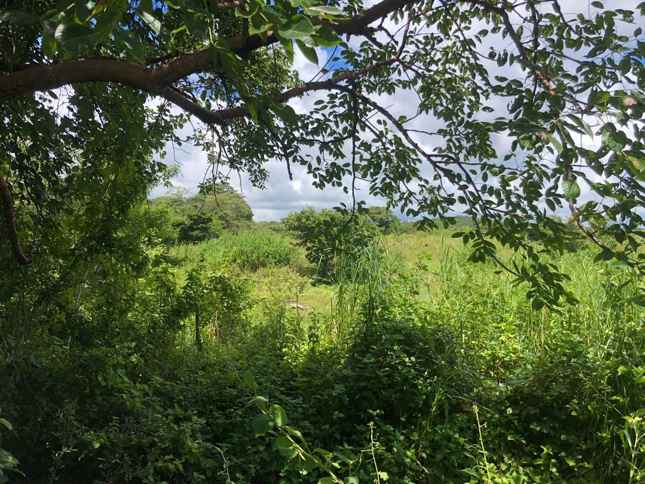 Development property for sale, Building project opportunity close to Liberia Airport and City with beautiful Flat property - Gallery image 5