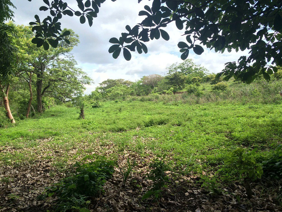 Mountain Property for Sale with charming 360º views of Guayabos Valley and the Volcanoes - Gallery image 10