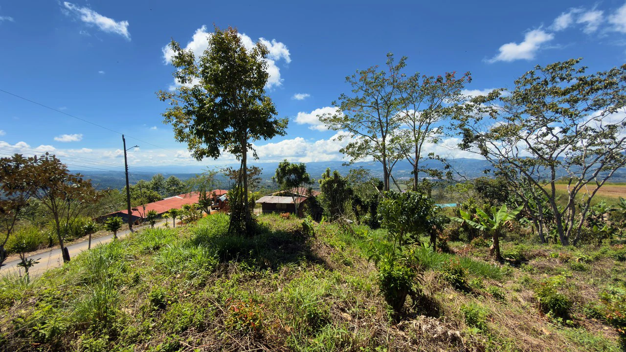 SE VENDE LOTE DE 1066M2, UBICADO EN MIRAVALLES, PEREZ ZELEDON.: Home Construction Site For Sale in Miravalles - Gallery image 9