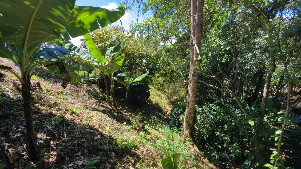 Home Construction Site For Sale in Miravalles - Gallery image 6