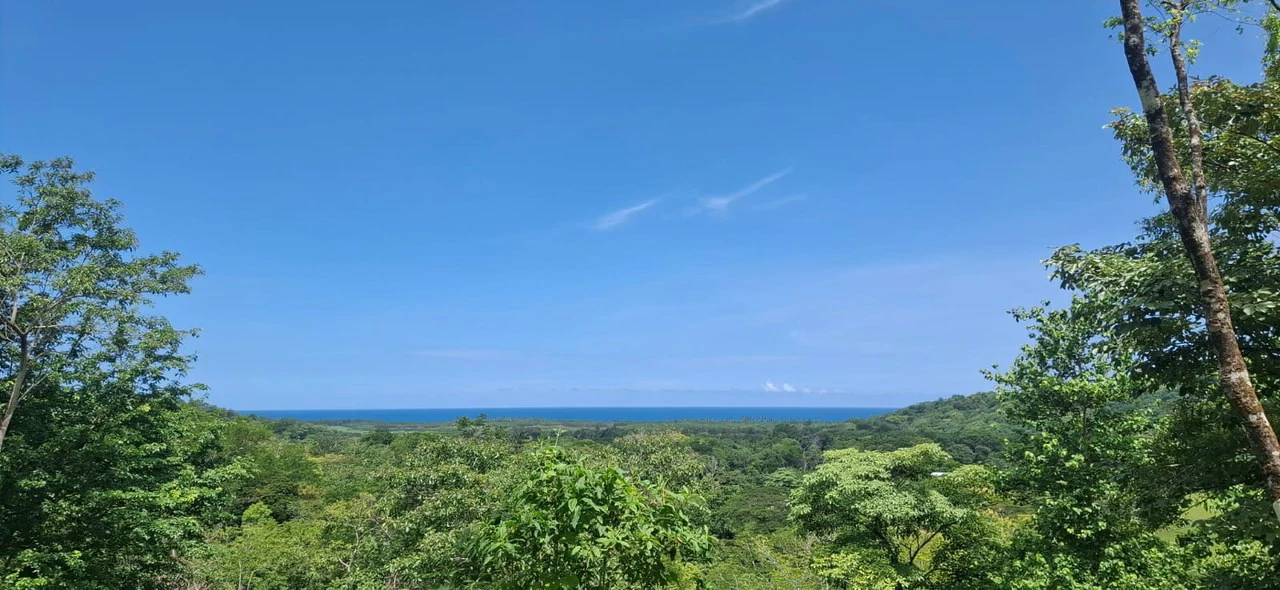 Land in Pilas de Bejuco: 19 Hectares in Pilas de Bejuco - photo 2