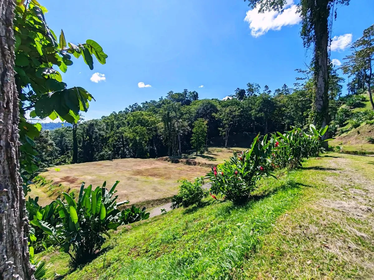 ID 642: Maramar Caribe - Ocean View Land Near Puerto Viejo & Cahuita - Gallery image 4