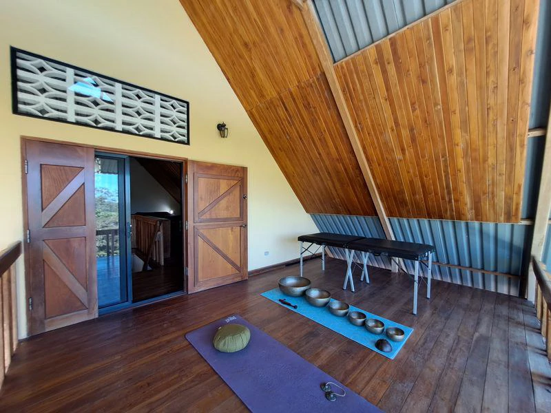 Finca El Colibri: Tropical Oasis of 7000 m2, nestled in nature, featuring 2 Homes & Caravan Studio, Near Carrillo & Samara Beaches - Gallery image 17