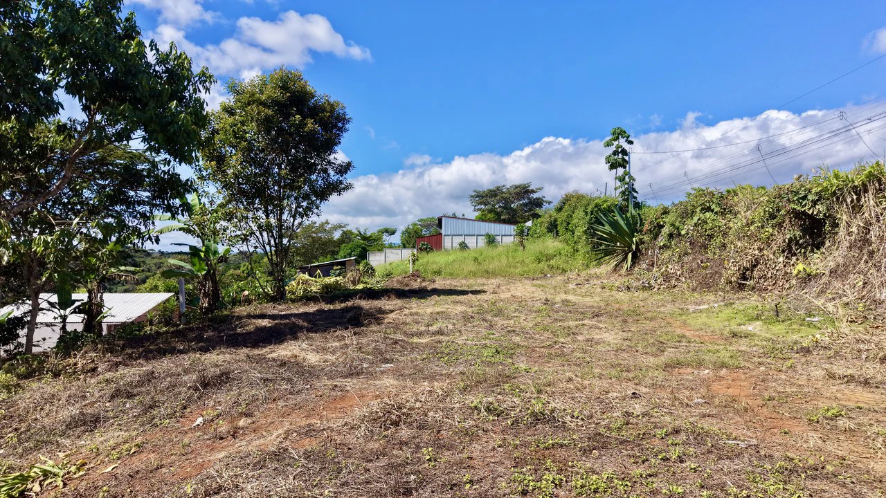 Home Construction Site For Sale in Pavones - photo 24