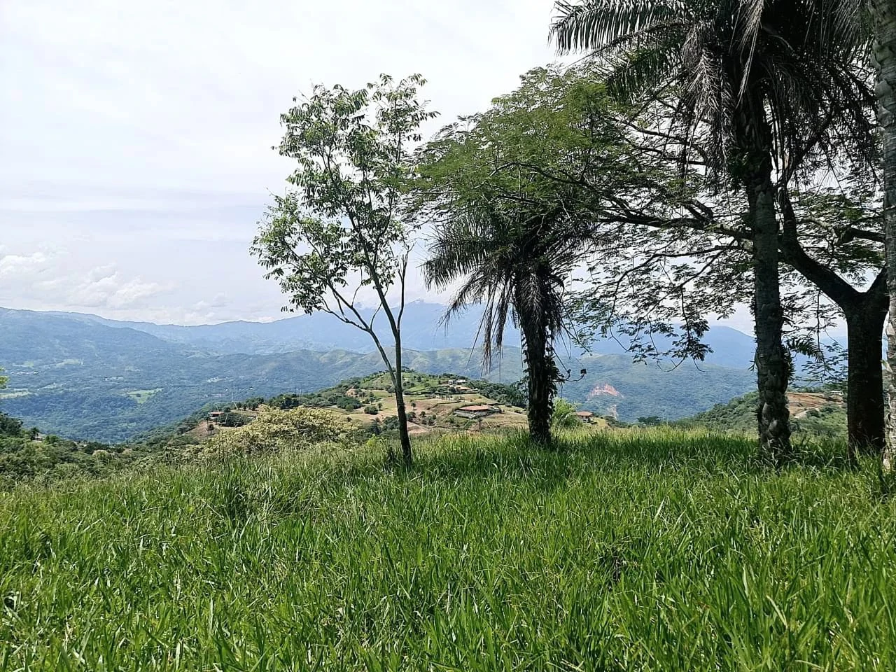 Near the Coast and Mountain Home Construction Site For Sale in Orotina y Caldera - Gallery image 13