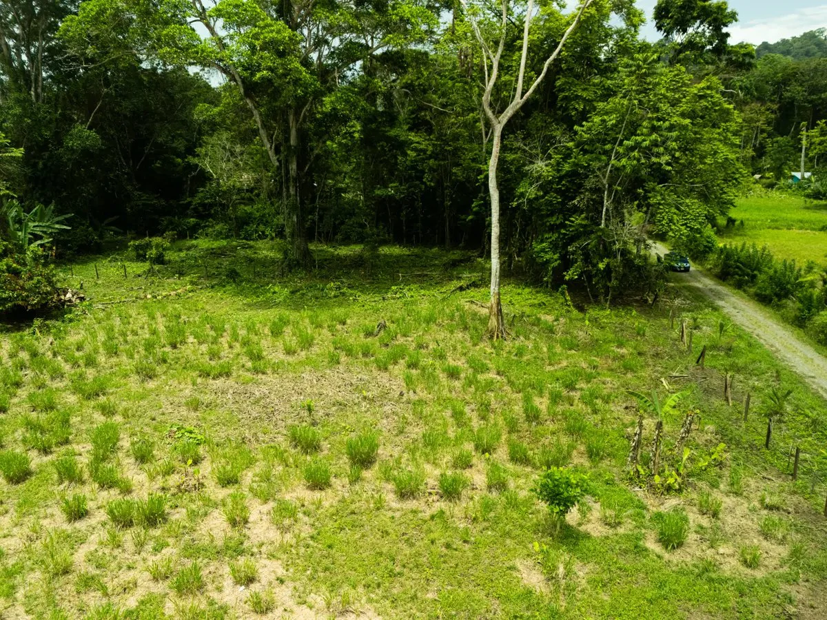 ID 1134: 3960m² Flat Development Lot Near Cahuita, Costa Rica - photo 5